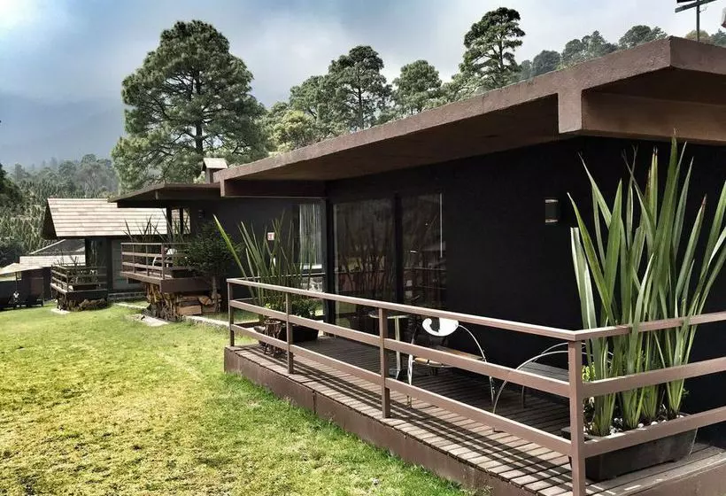 Fotos del hotel Organico Hotel Boutique:  6