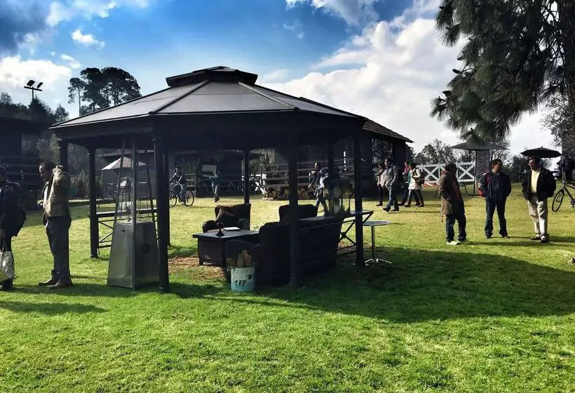 Fotos del hotel Organico Hotel Boutique:  9