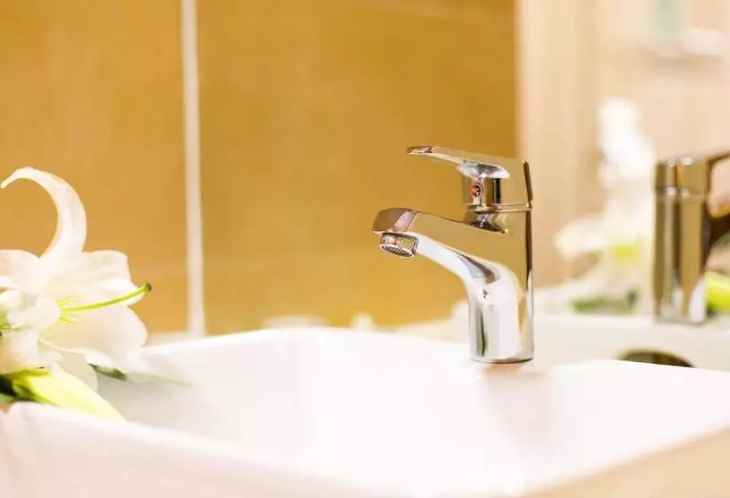 Fotos del hotel Xian Toyoo:  11