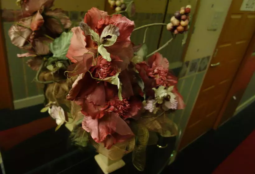 Fotos del hotel Candy Hall – Adults Only:  11