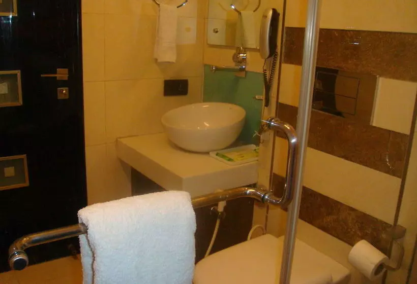 Fotos del hotel Shreyans Inn:  12