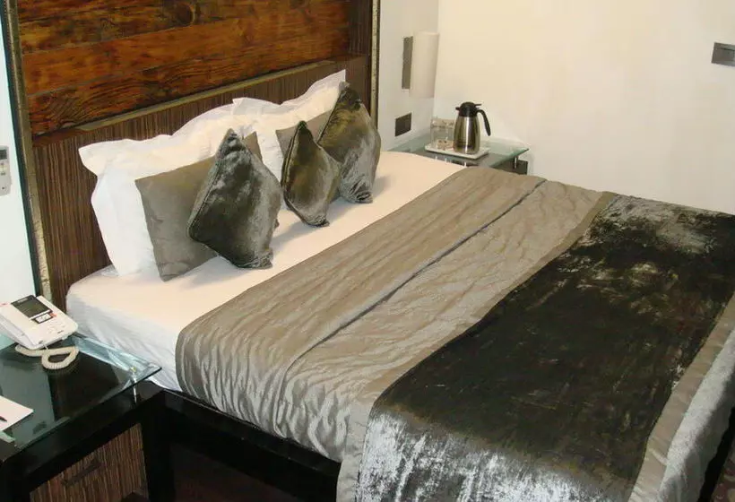 Fotos del hotel Shreyans Inn:  19