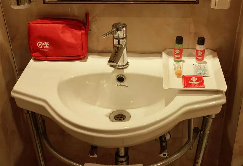 Fotos del hotel Oyo Premium Salt Lake Karunamoyee:  15