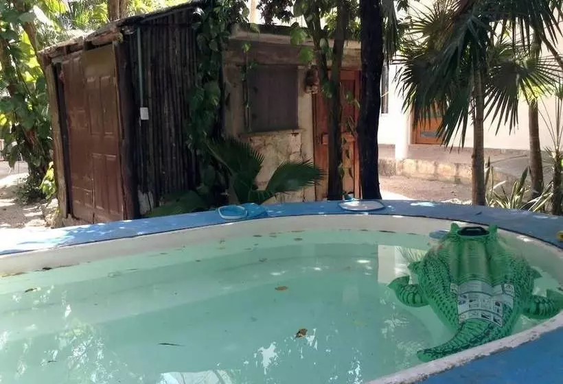 Fotos del hotel Tulum Iguanas:  2
