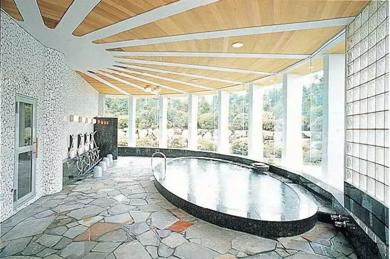 Fotos del hotel Palace Hotel Hakone:  3