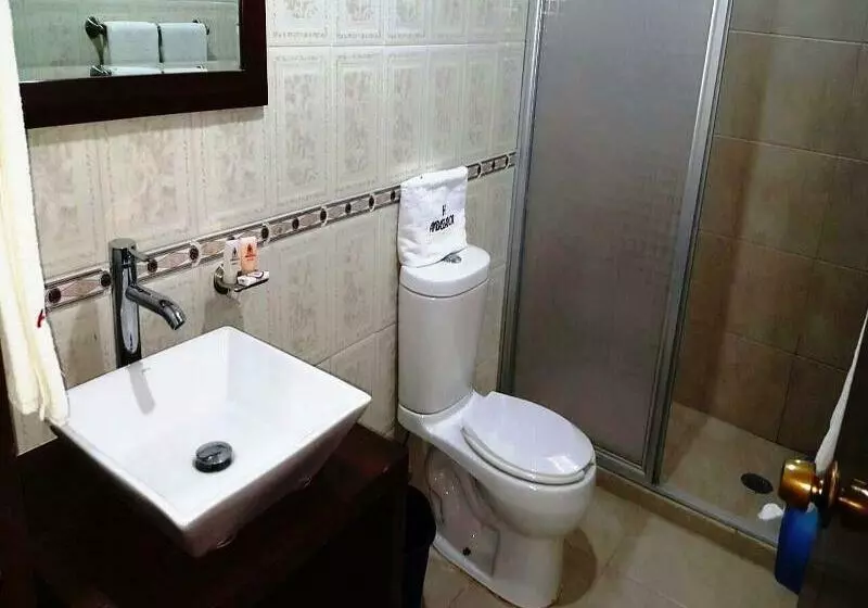 Fotos del hotel Ambassador:  6