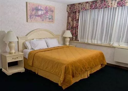 Fotos del hotel Comfort Inn Clifton Hill:  8