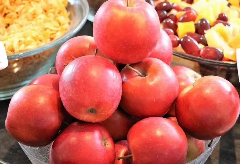 Fotos del hotel Dresden Airport:  15