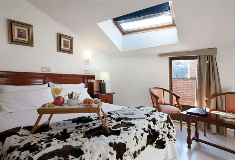 Fotos del hotel Duque de Lerma:  4