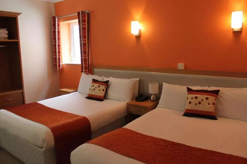 Fotos del hotel Sarsfield Bridge:  6