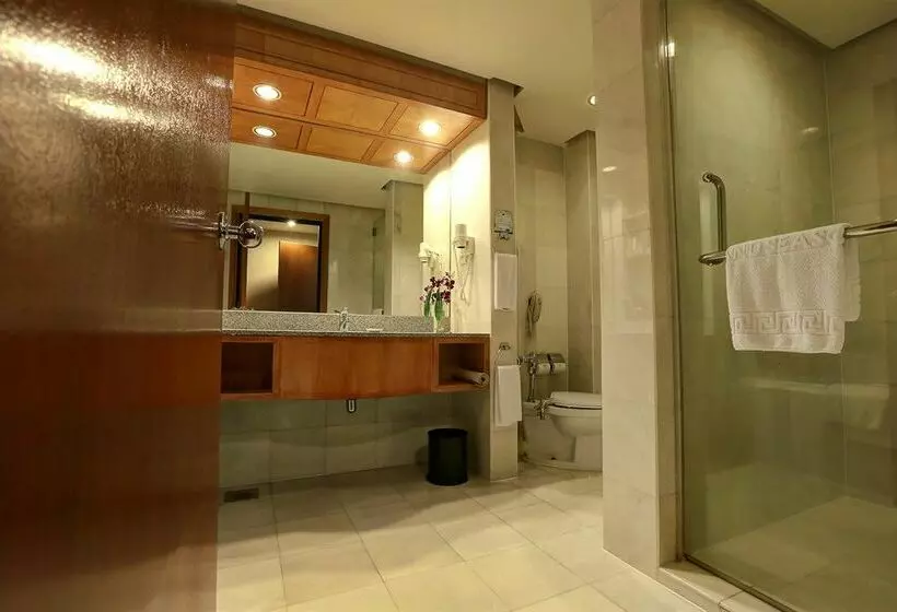 Fotos del hotel Grand Seasons:  8