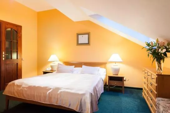 Fotos del hotel Bohemia Plaza:  9