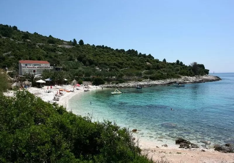 Fotos del hotel Apartmani Irena:  4