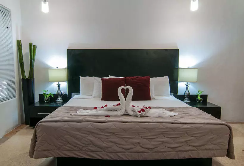 Fotos del hotel Blue Parrot Fifth Avenue:  23