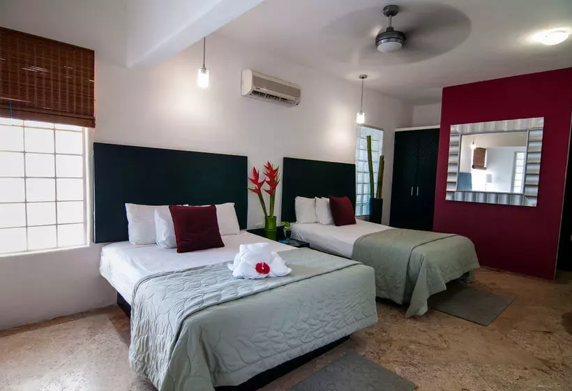 Fotos del hotel Blue Parrot Fifth Avenue:  7