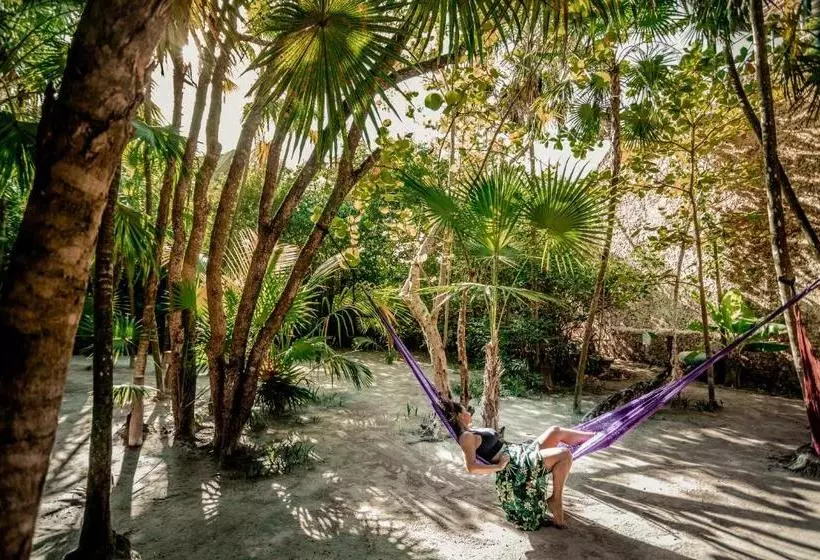 Fotos del hotel I Scream House:  17