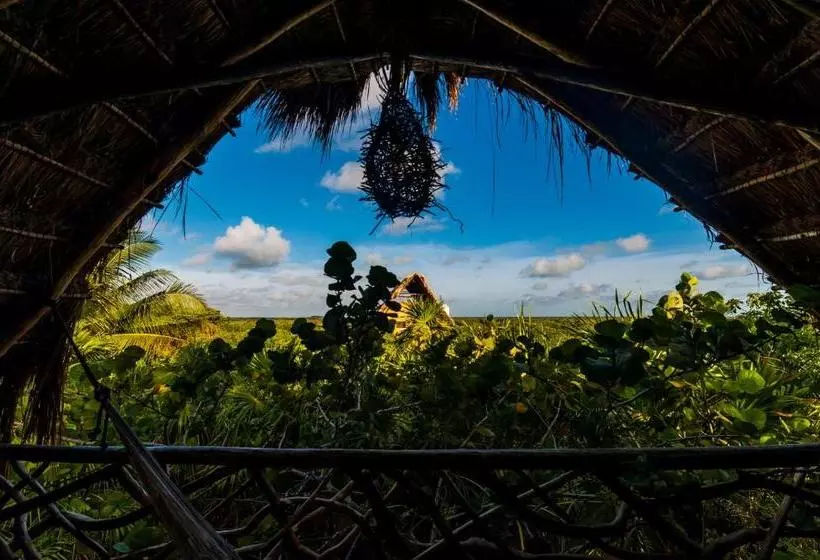 Fotos del hotel I Scream House:  11