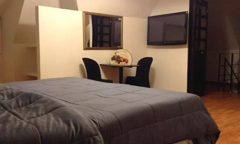 Fotos del hotel Boutique Zona G:  6