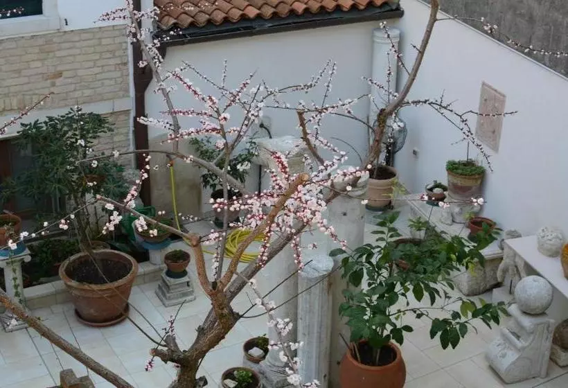 Fotos del hotel Alloggi Barbaria:  4