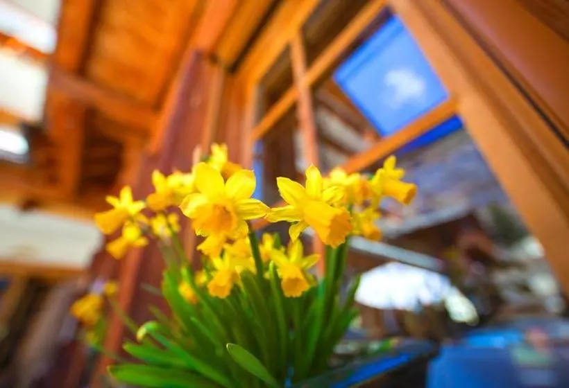 Fotos del hotel Sunstar Hotel Zermatt:  5