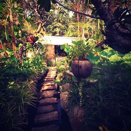 Fotos del hotel The Sundays Sanctuary Resort & Spa:  8