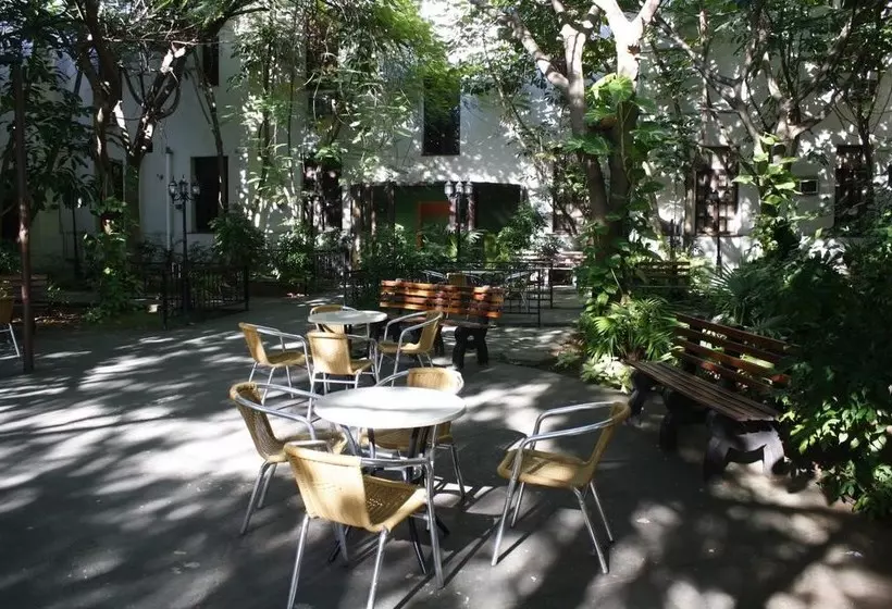 Fotos del hotel Sercotel San Alejandro:  7