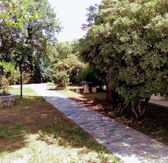 Fotos del hotel Vento Boutique:  7