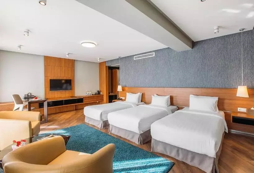 Fotos del hotel Fortune Palace:  12