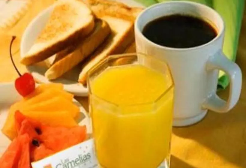 Fotos del hotel Las Camelias:  3