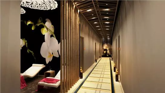 Fotos del hotel Dusitd2:  14