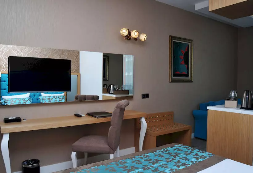 Fotos del hotel Niss Business:  6