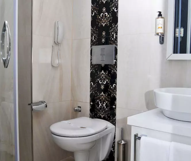 Fotos del hotel Niss Business:  4