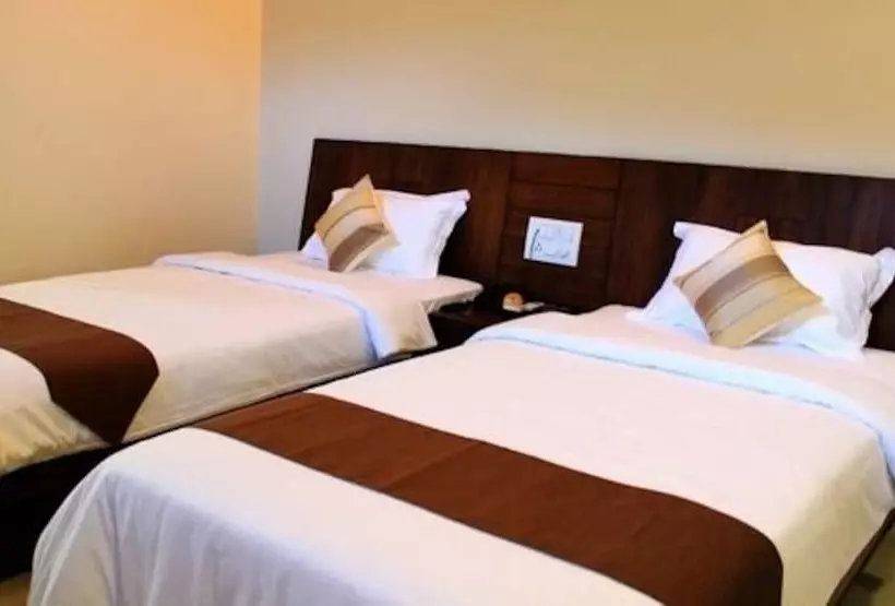 Compact Maple Leaf Ecity