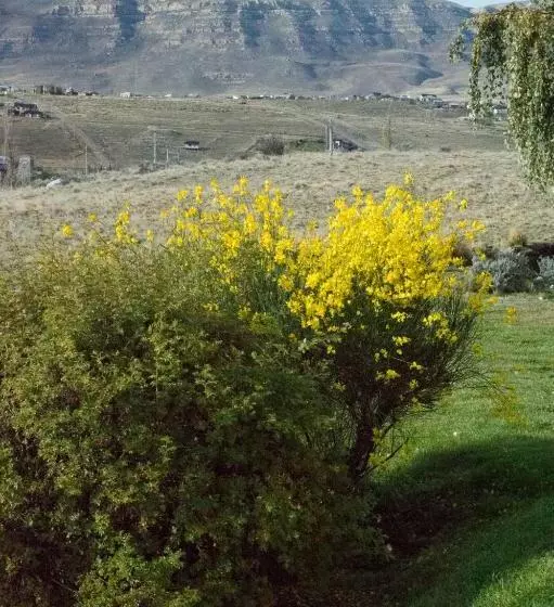 Fotos del hotel Hosteria La Estepa:  13