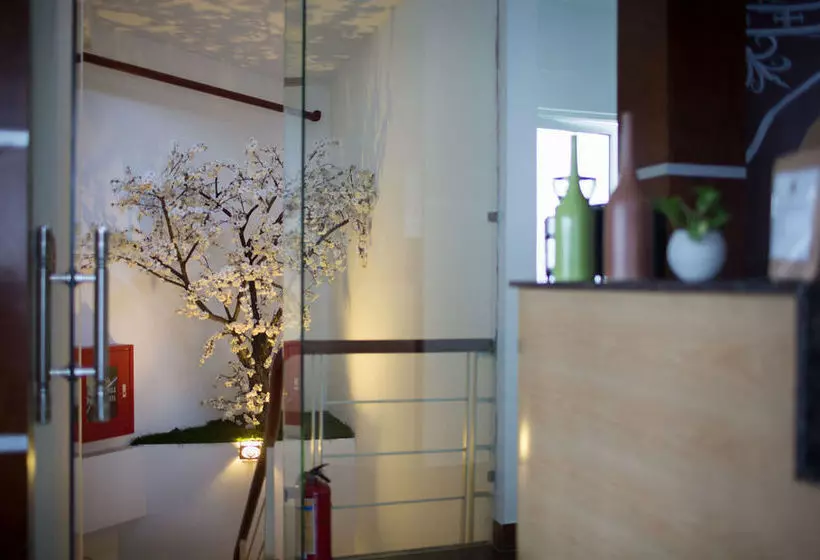 Fotos del hotel Brandi Hanoi:  5