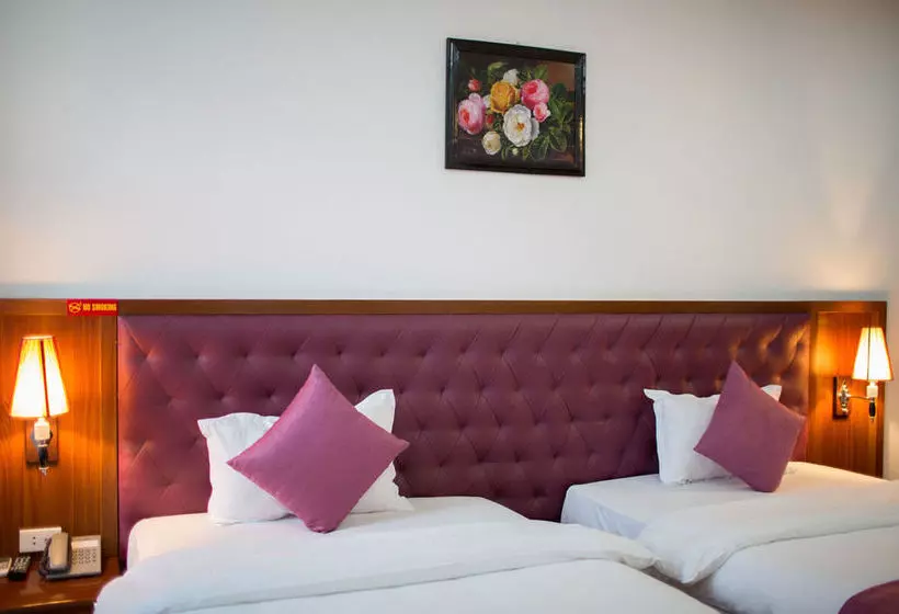 Fotos del hotel Brandi Hanoi:  9