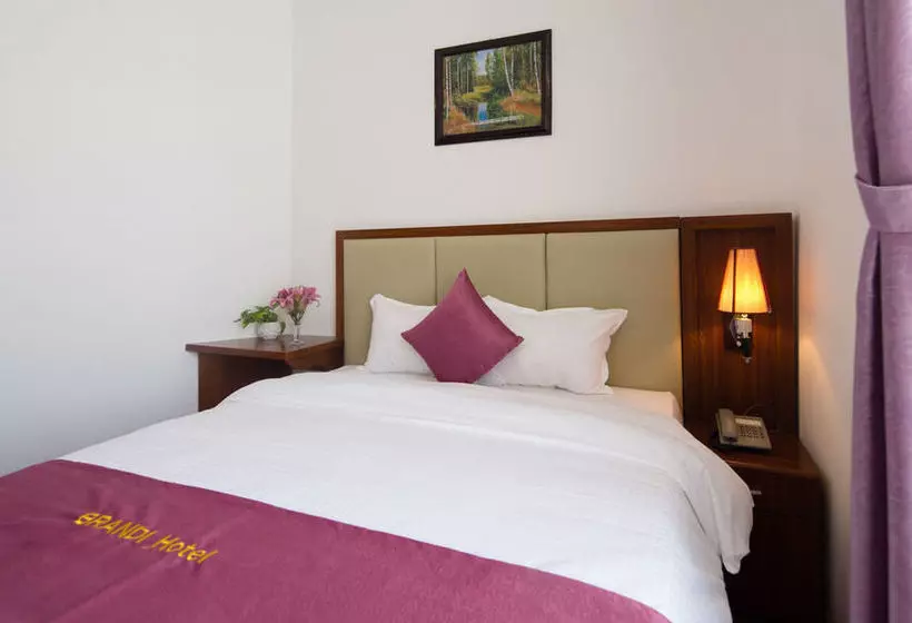 Fotos del hotel Brandi Hanoi:  16