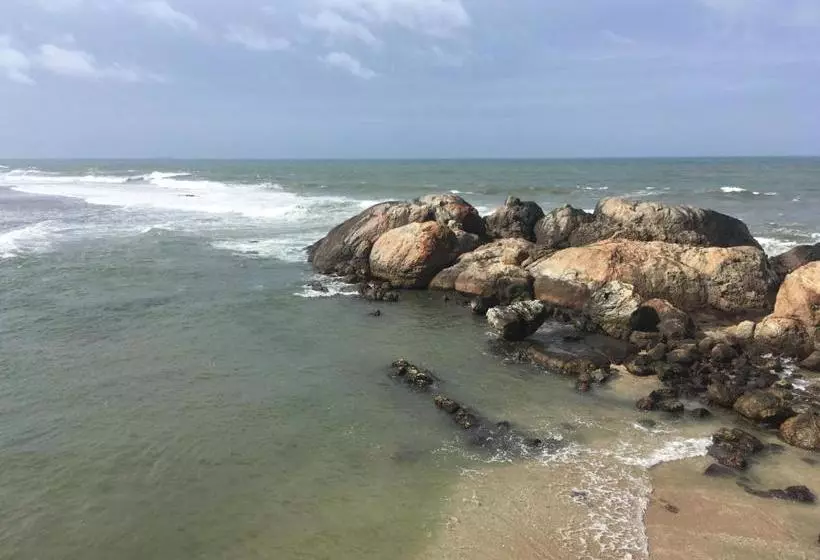 Fotos del hotel Aradhana:  4