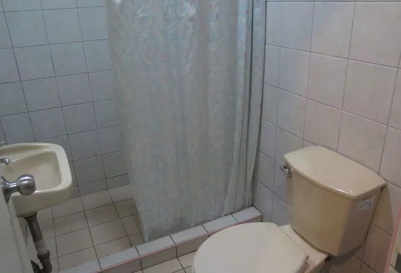 Fotos del hotel Palwa:  14