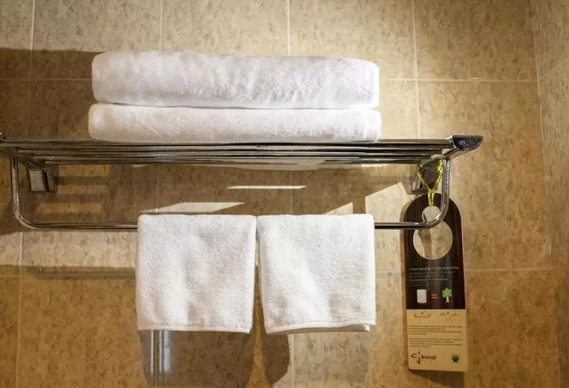 Fotos del hotel Aontel Grand:  12