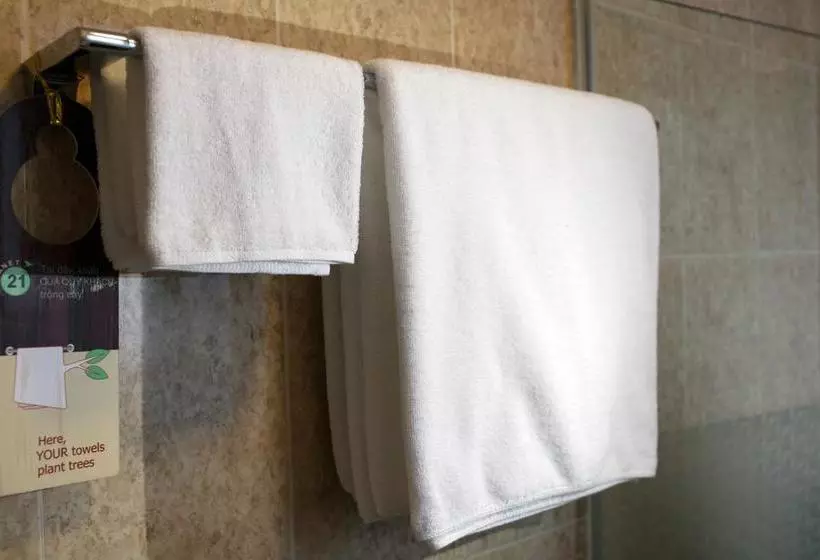 Fotos del hotel Aontel Grand:  8