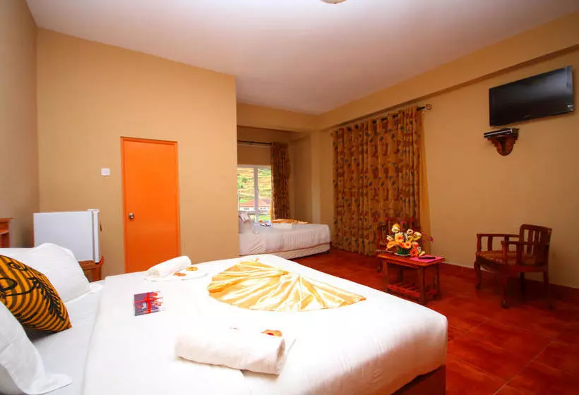 Fotos del hotel Ashford:  16