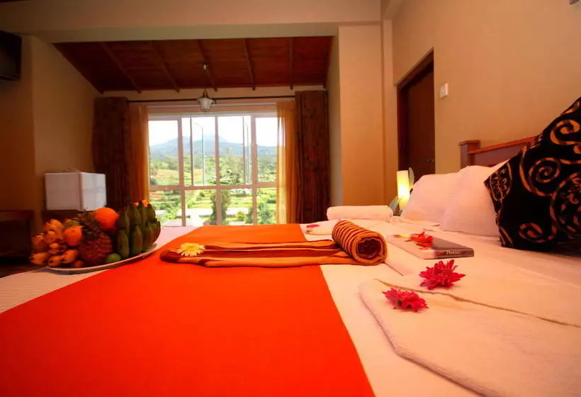 Fotos del hotel Ashford:  20