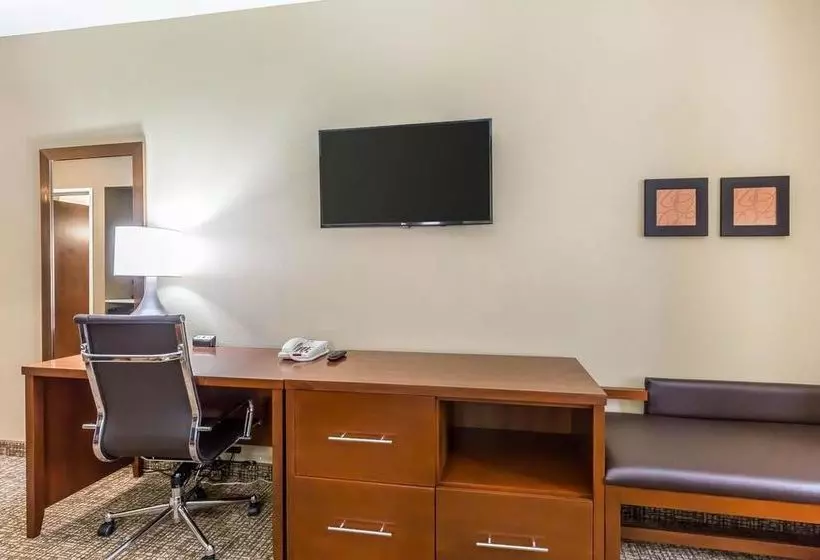 Fotos del hotel Comfort Suites Houston I45 North:  25