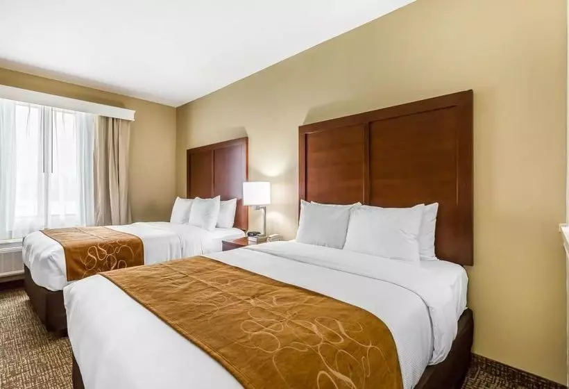 Fotos del hotel Comfort Suites Houston I45 North:  23