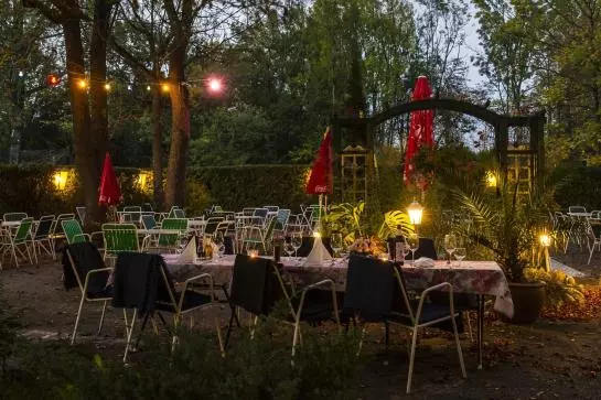 Fotos del hotel Sophienalpe:  5