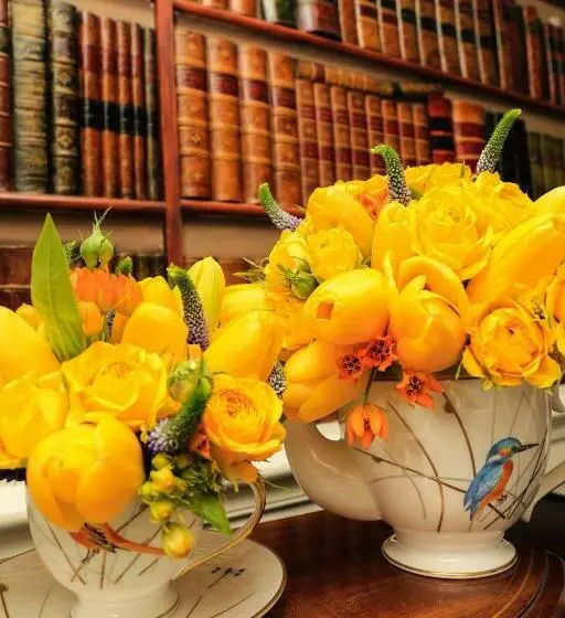 Fotos del hotel Draycott:  3