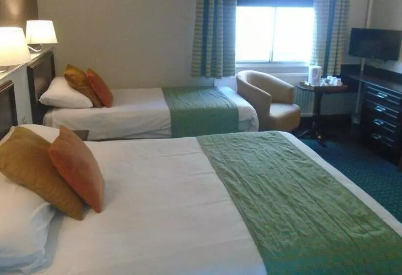 Fotos del hotel The Strathdon:  1