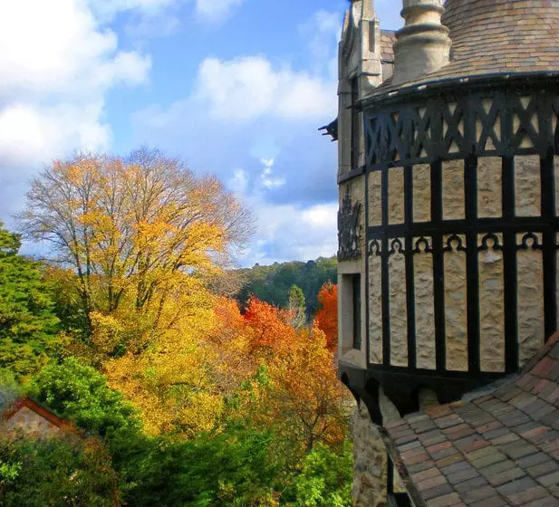 Fotos del hotel Thorngrove Manor:  17