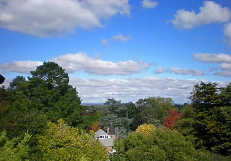 Fotos del hotel Thorngrove Manor:  7